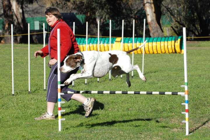agility_training"