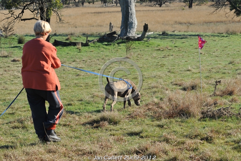 Tracking_201108_GundogClub"