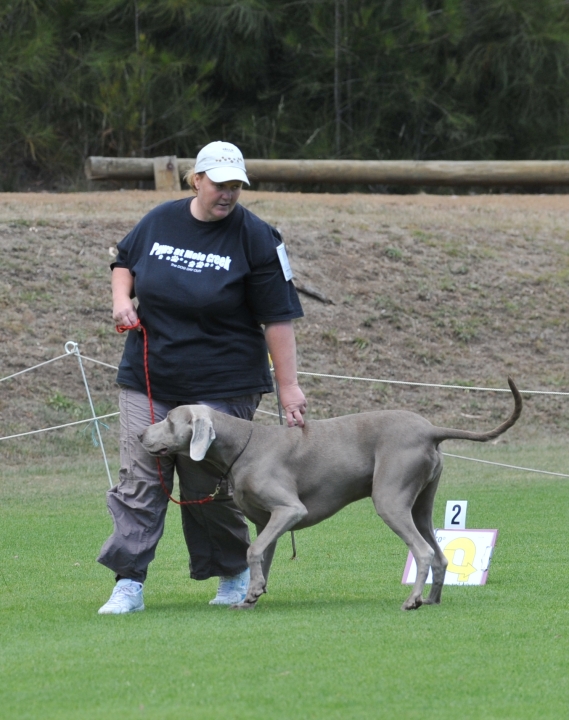 DOG_3437.jpg