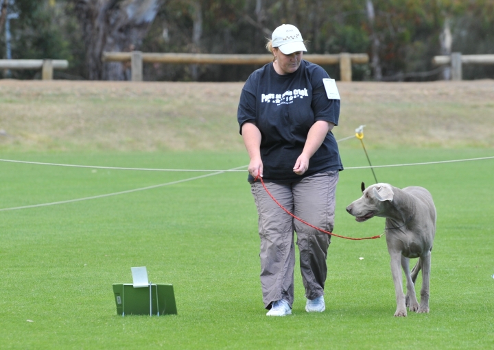 DOG_3444.jpg