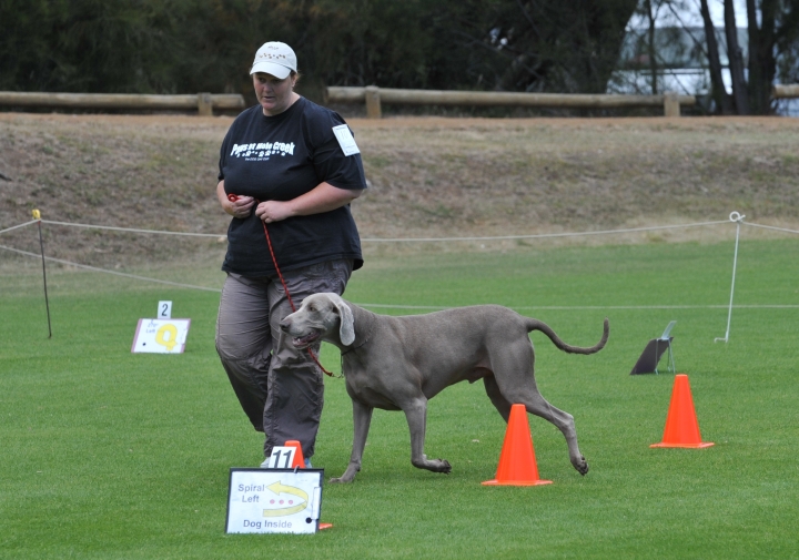 DOG_3460.jpg