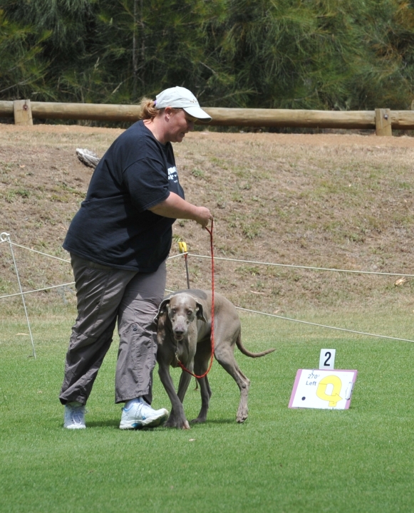 DOG_3957.jpg