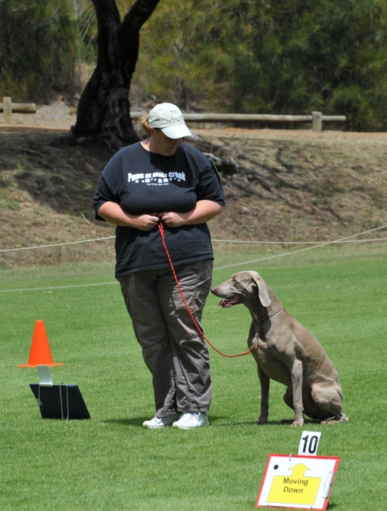 DOG_3979.jpg