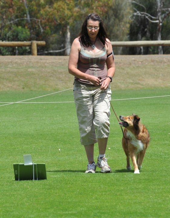DOG_4014.jpg
