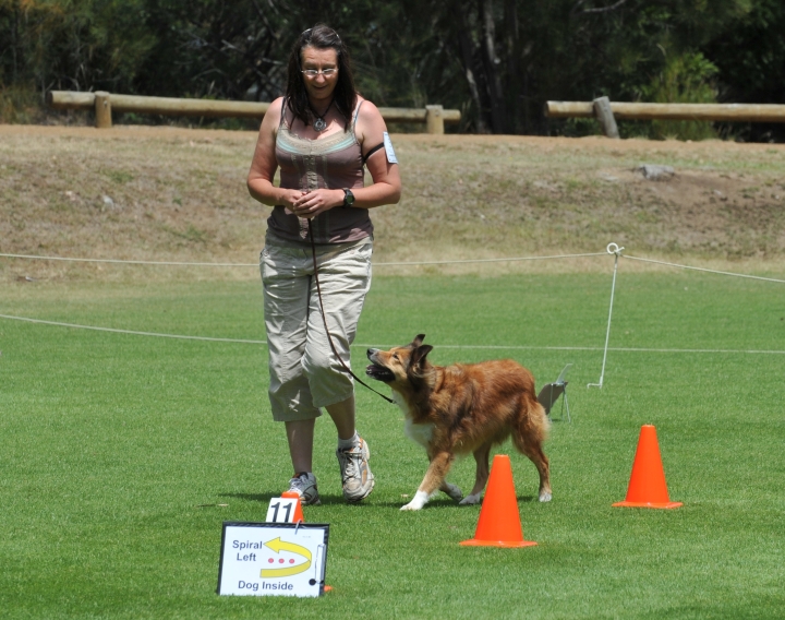 DOG_4024.jpg