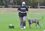 DOG_3446