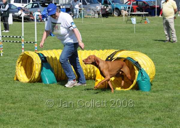 TAS_0823.jpg