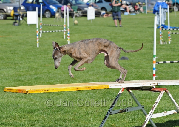 TAS_0865.jpg - Let it Whip