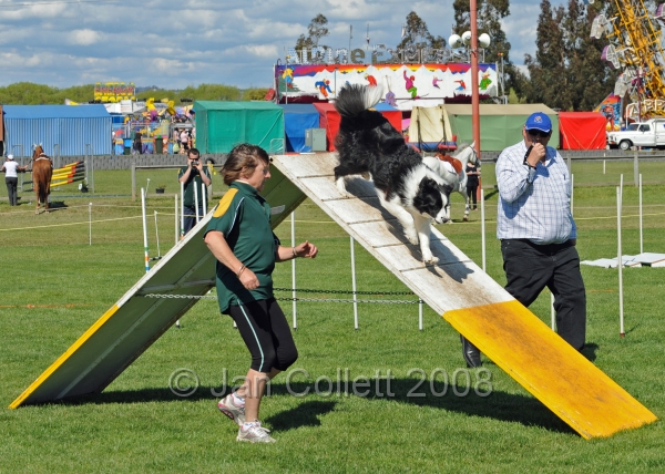 TAS_0910.jpg