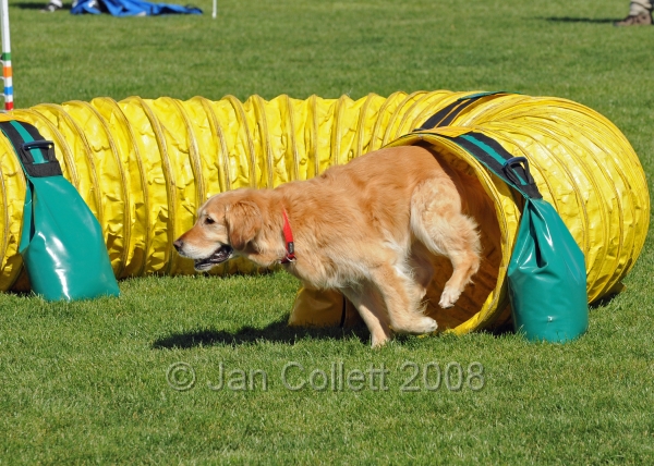 TAS_0931.jpg
