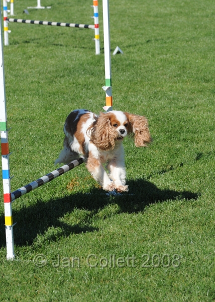 TAS_0999.jpg