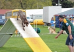 TAS_0680