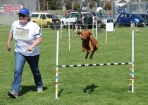 TAS_0818