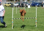 TAS_0819