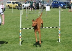 TAS_0820