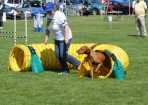 TAS_0822