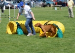 TAS_0823