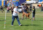 TAS_0827