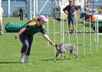 TAS_0849