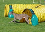 TAS_0869