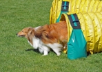 TAS_0882
