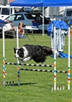 TAS_0897