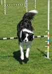 TAS_0908v