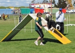 TAS_0912