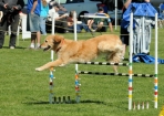 TAS_0925