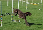 TAS_0987