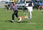 TAS_0989