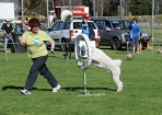 TAS_1031