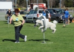 TAS_1032
