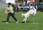 TAS_1034
