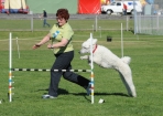 TAS_1035