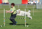 TAS_1036