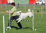 TAS_1037