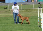 TAS_1039