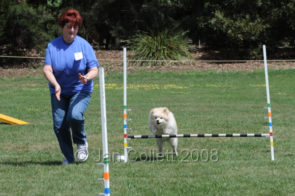 DOG_0005.JPG