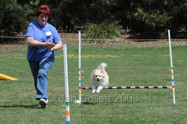 DOG_0006.JPG