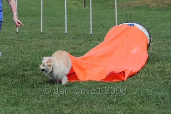 DOG_0017.JPG