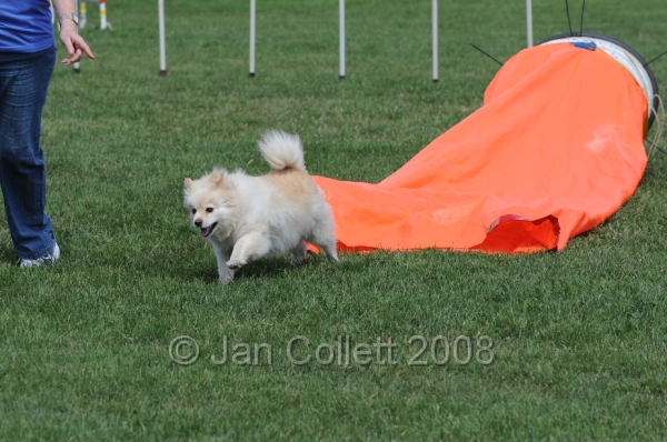 DOG_0019.JPG