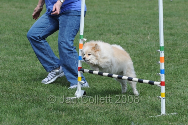 DOG_0021.JPG