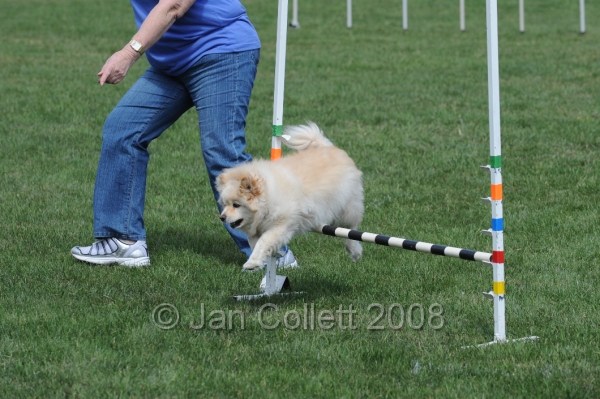 DOG_0022.JPG