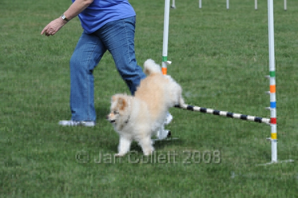 DOG_0023.JPG