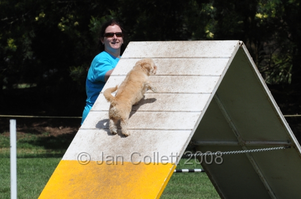 DOG_0031.JPG