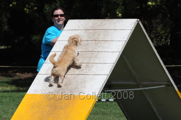 DOG_0032.JPG