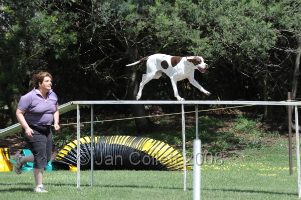 DOG_0047.JPG