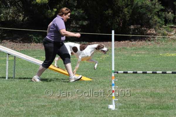 DOG_0048.JPG