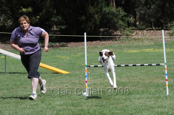 DOG_0055.JPG
